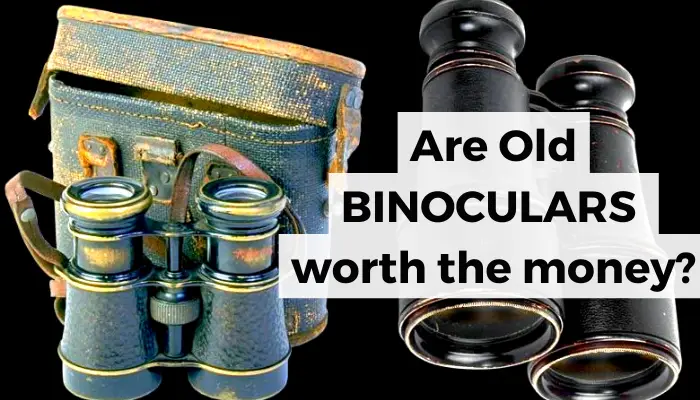 Are Old Binoculars Worth the Money