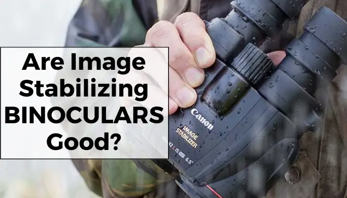 Are Image Stabilizing Binoculars Worth It