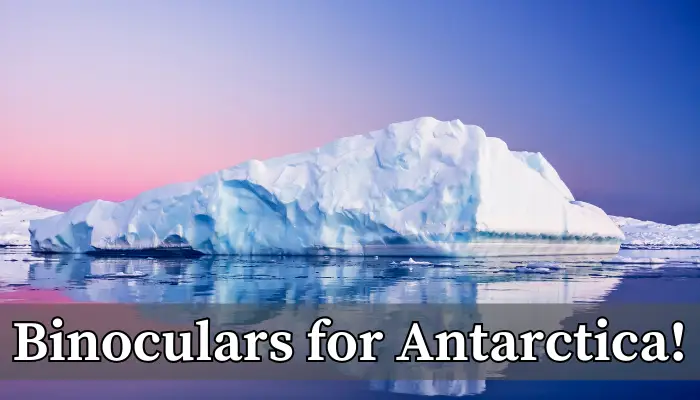 Best Binoculars for Antarctica