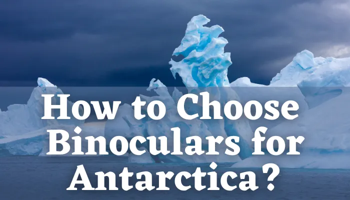 How to choose binoculars for Antarctica cruise