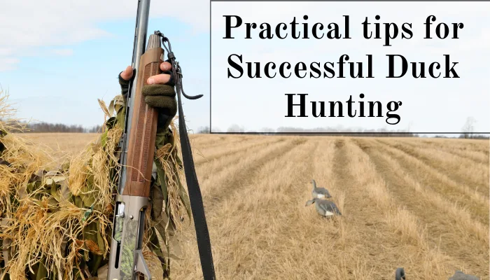 Practical tips for improving your duck hunting