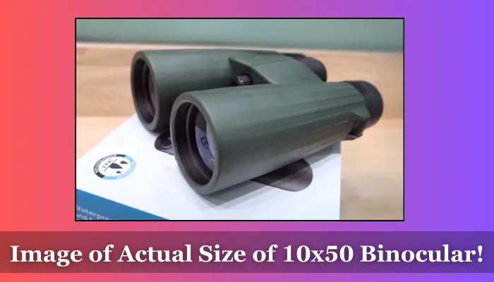 Size of 10x50 binoculars that I used - Image taken by me