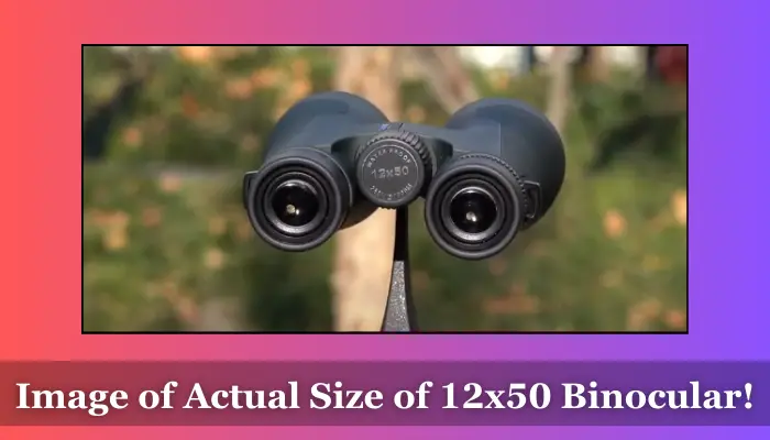 Size of 12x50 binocular - Image taken by me