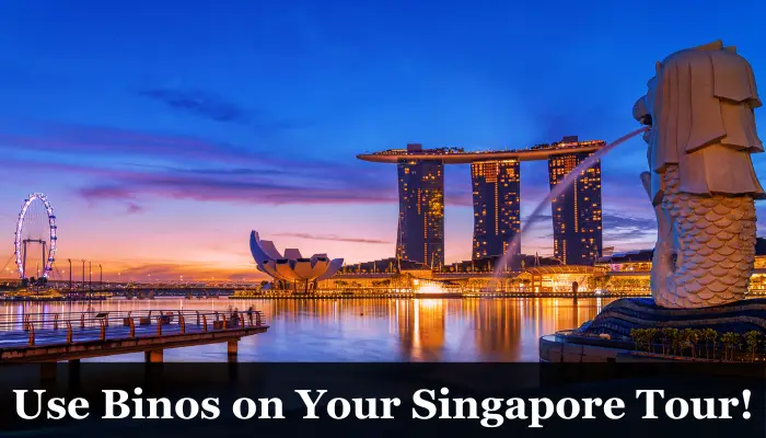 Are Binoculars Allowed in Singapore?