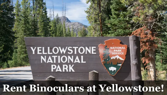Can you Rent Binoculars at Yellowstone Park