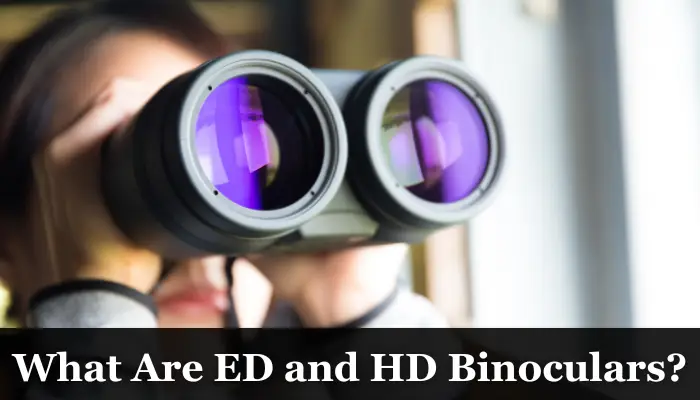 Difference Between HD and ED Binoculars