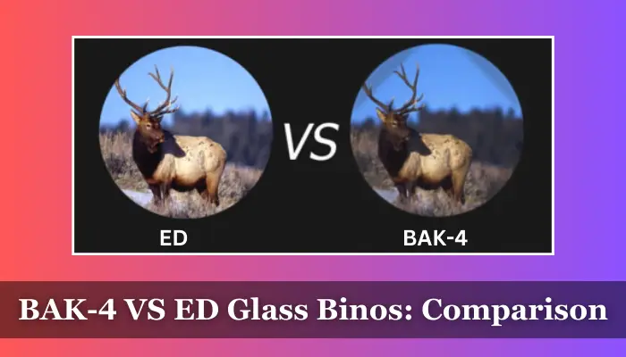 Differences Between the ED Glass BAK-4 Binoculars