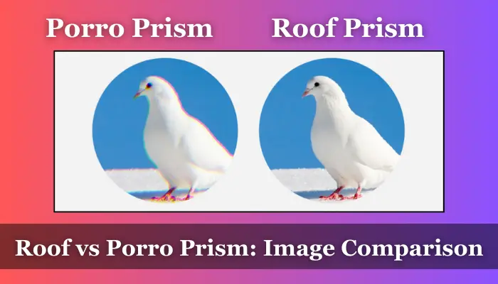 Visual performance differneces between roof and porro prism binoculars