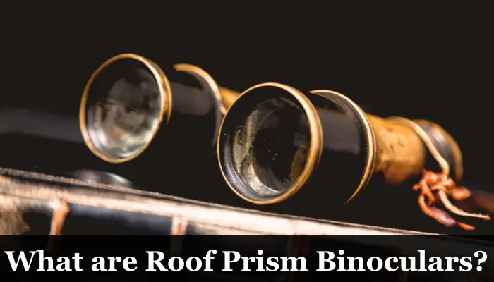 What Are Roof Prism Binoculars