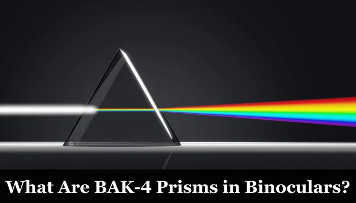 What Is BAK-4 Prism in Binoculars