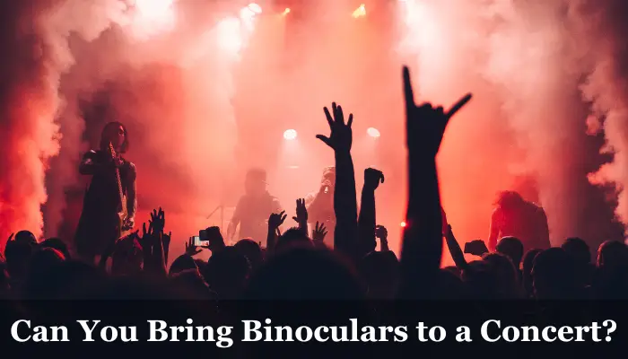 Can You Bring Binoculars to a Concert